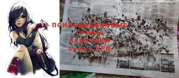 гидра Володарск