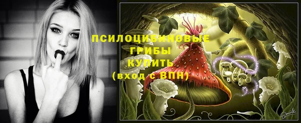 стаф Верхний Тагил